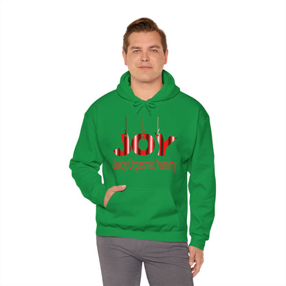 JOY- juicy,orgasmic,yummy  Hooded Sweatshirt