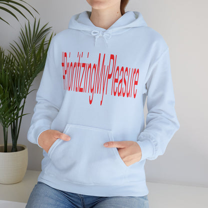 #PrioritizingMyPleasure Hooded Sweatshirt(Red letters)