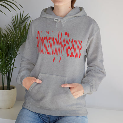 #PrioritizingMyPleasure Hooded Sweatshirt(Red letters)