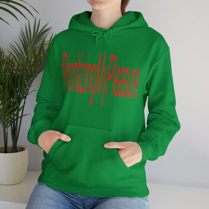 #PrioritizingMyPleasure Hooded Sweatshirt(Red letters)