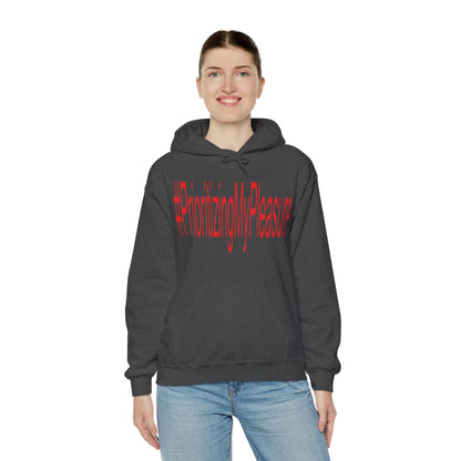 #PrioritizingMyPleasure Hooded Sweatshirt(Red letters)